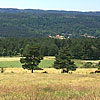 Paysage de Margeride